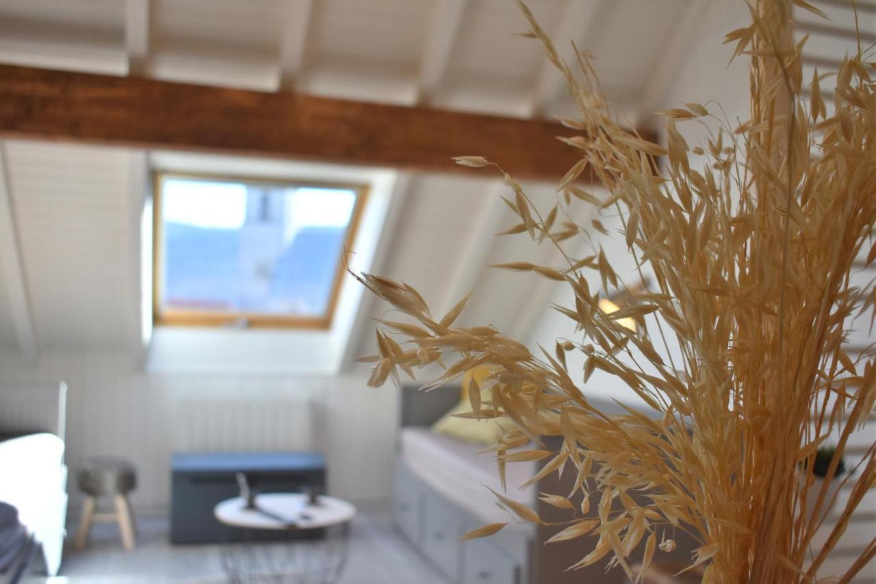 Charmant studio, le petit gris des montagnes Mouthe Extérieur photo